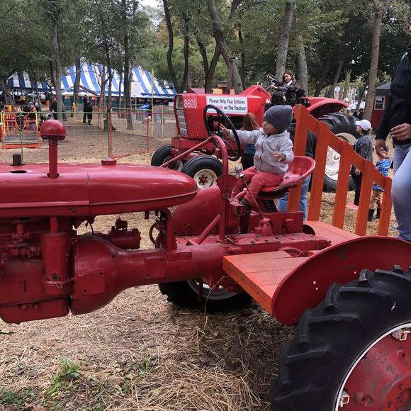 Meet your Posher, Benjamin - Picture 1 of 1